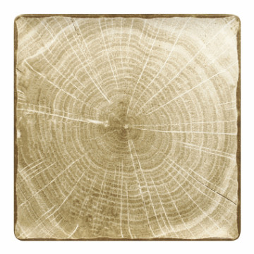 Woodart Tallerken flat firkantet 30cm "Mosegrønn"