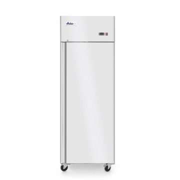 Fryser enkeldør Profi Line 670L, Arktic, Profi Line, GN 2/1, 230V/600W, 730x800x(H)2096mm
