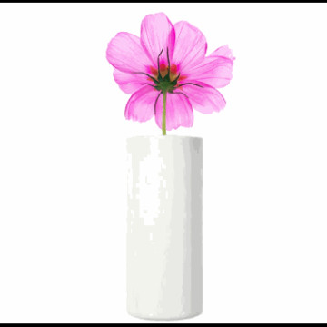 Vase m/holder for blomst hvit Ø-5xH-13cm porselen