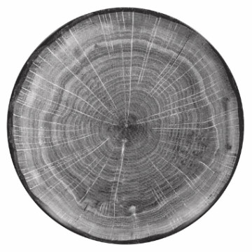 Woodart Tallerken flat 29cm bøk grå